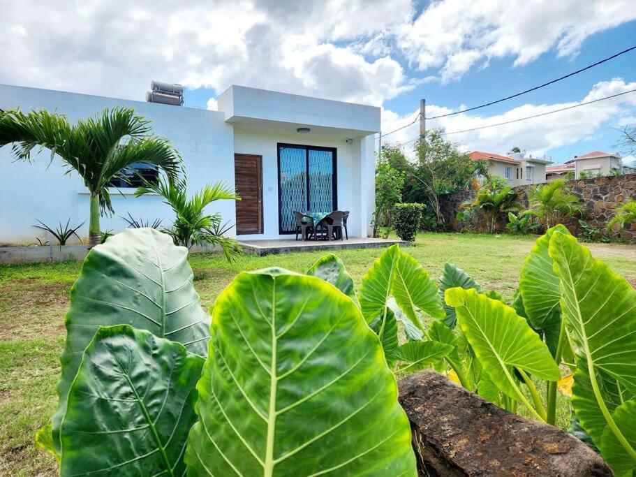 La Maison D'Isa Albion Exterior photo
